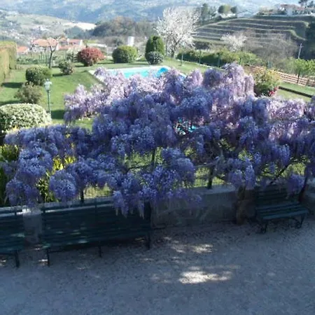 Quinta Da Casa Grande De Pinheiro *